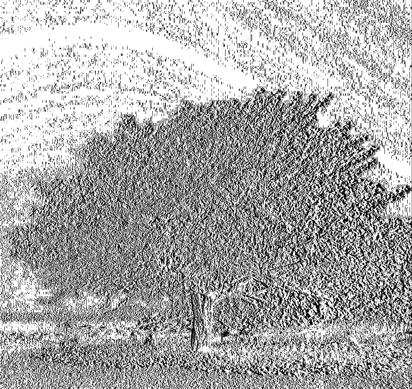 Costes para la imagen Árbol